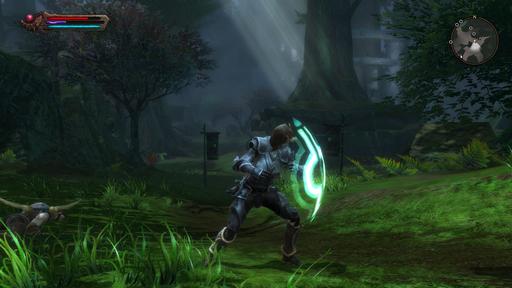 Kingdoms of Amalur: Reckoning - Превью "Kingdoms of Amalur:Reckoning" или возвращение Безымянного.