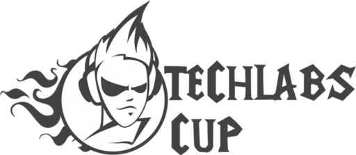 Большая кибеспортивная движуха в Москве. Все о TechLabs Cup.